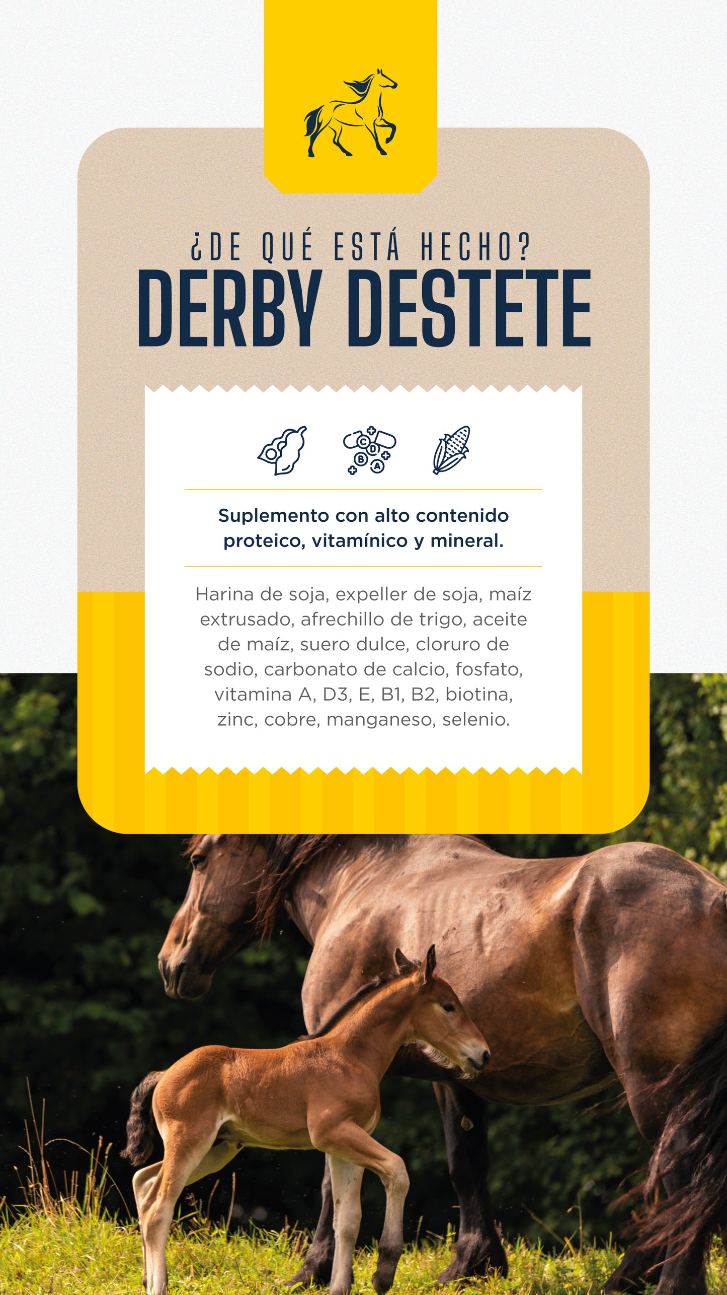 Derby Destete