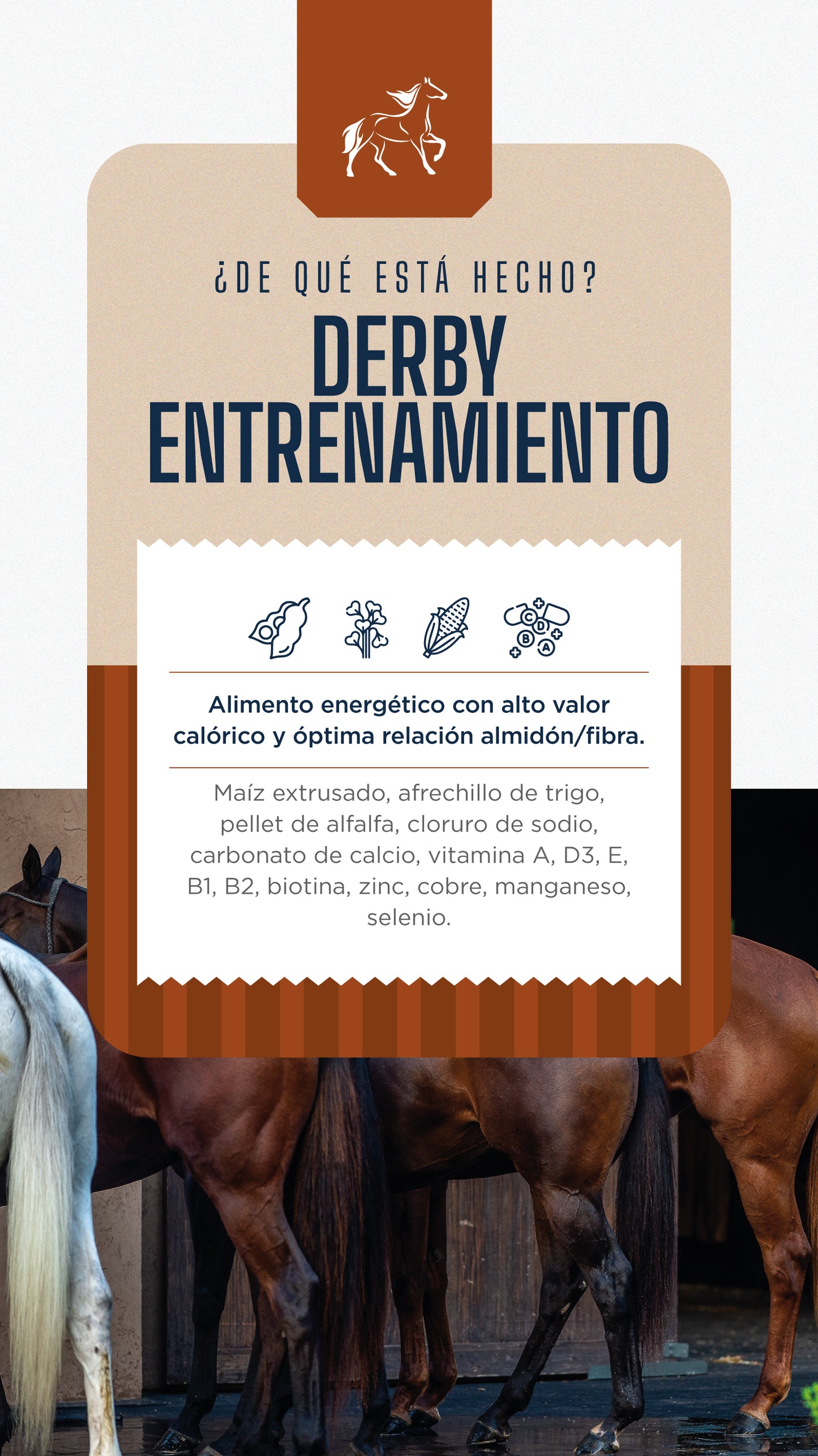 Derby Entrenamiento