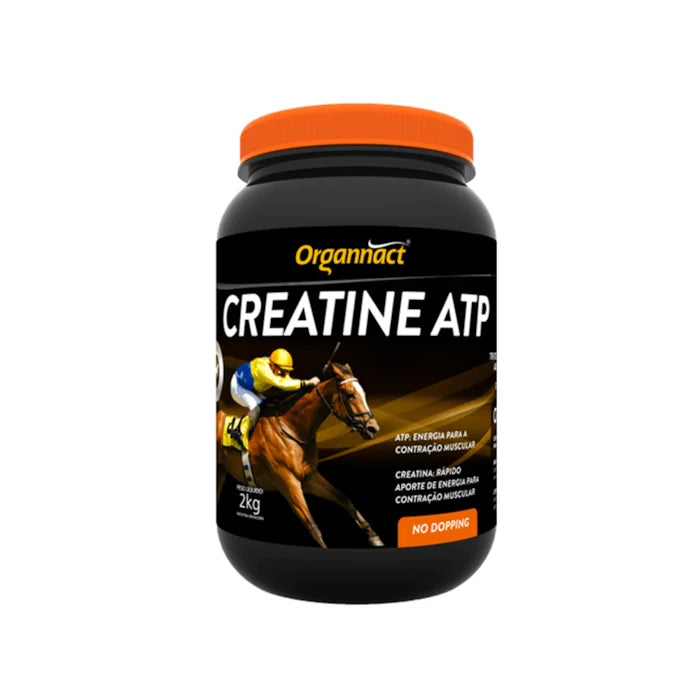 CREATINE ATP 2KG