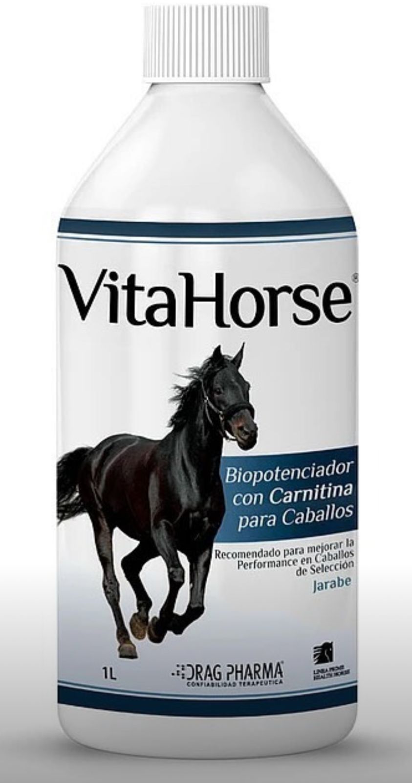 VITA HORSE 1 L - DRAGPHARMA con CARNITINA VITA HORSE 1 L - DRAGPHARMA con CARNITINA