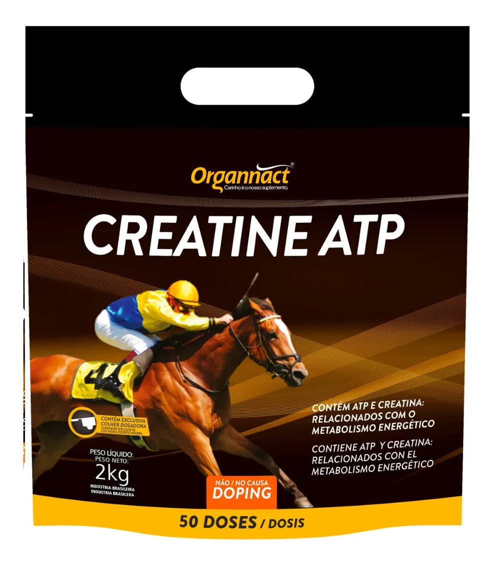 CREATINE ATP 2 KG