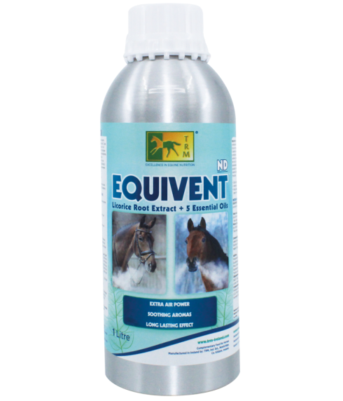 EQUIVENT SYRUP 1LT