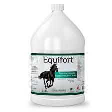 Equifort® Jarabe 3,8 Litros Suplemento Vitamínico y Mineral para Caballos