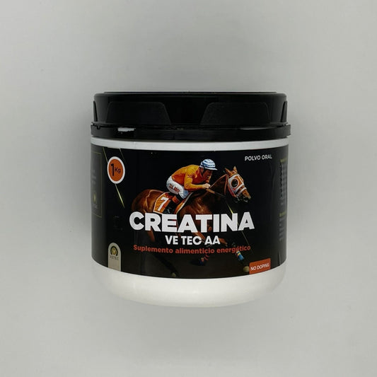 CREATINA VE TEC AA 1KG