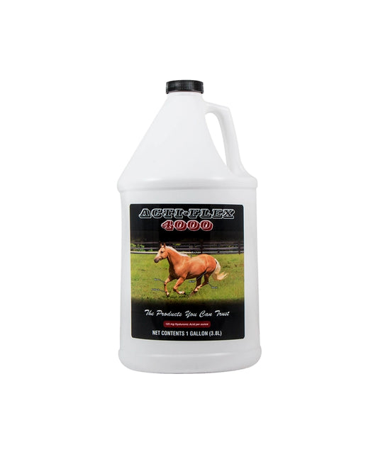 ACTI FLEX 4000 3,8 L