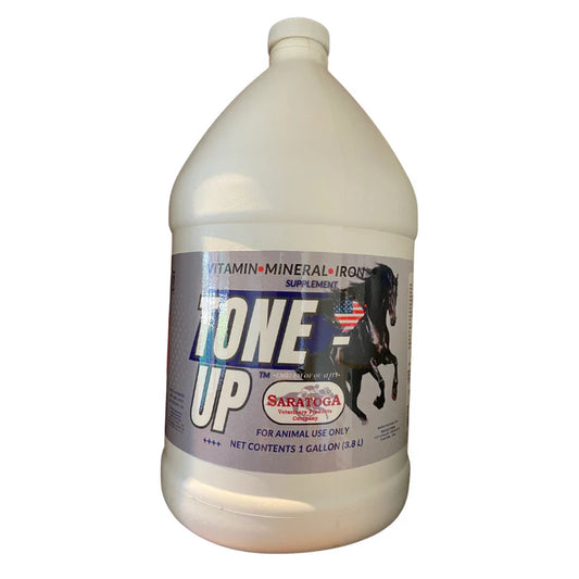 TONE UP SARATOGA 3.8 lt