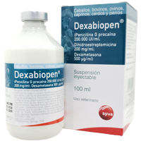 DEXABIOPEN 100 ML INY - PENICILINA G PROCAINA DIHIDROESTREPT