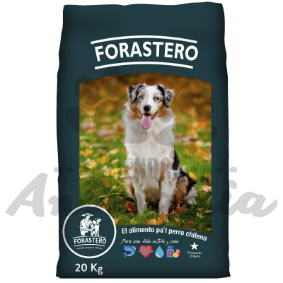FORASTERO PARA PERROS ADULTOS 20 KG