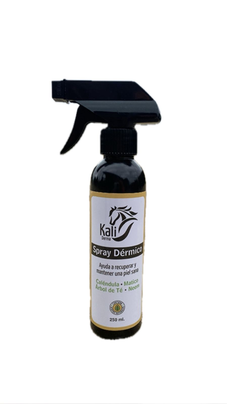 SPRAY DERMICO 250ML KALI