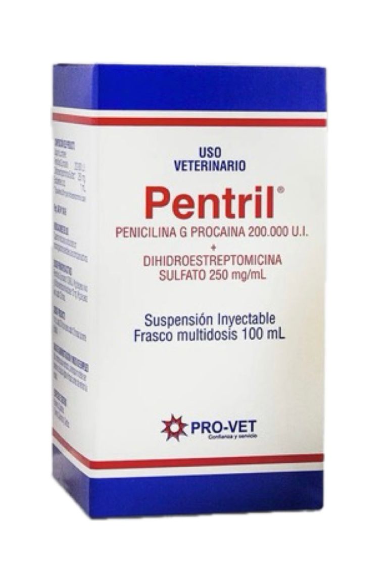 PENTRIL 100 ML INY- PENICILINA G PROCAINA 200.000 U.I + DIH